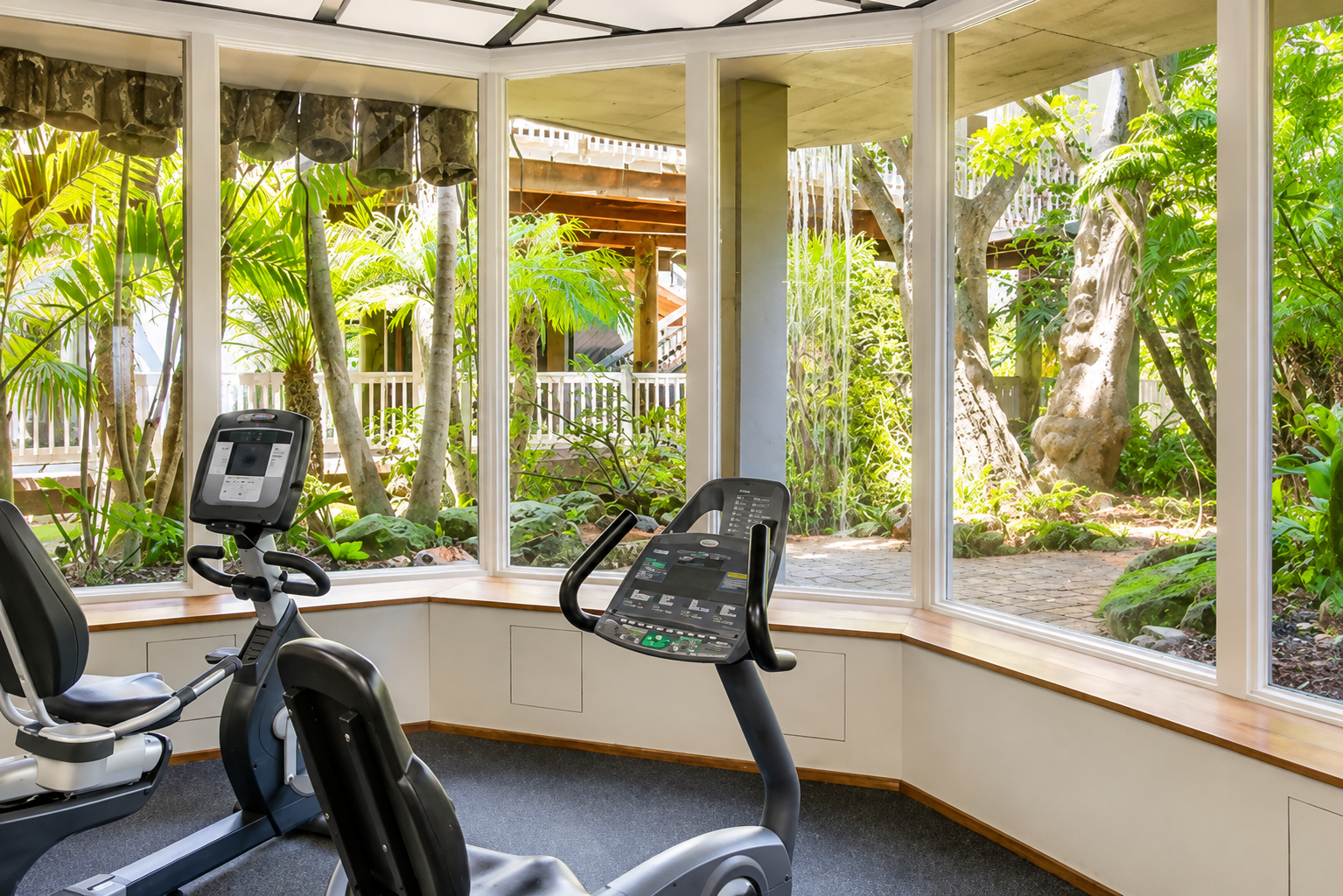 Tropical views from the fitness center