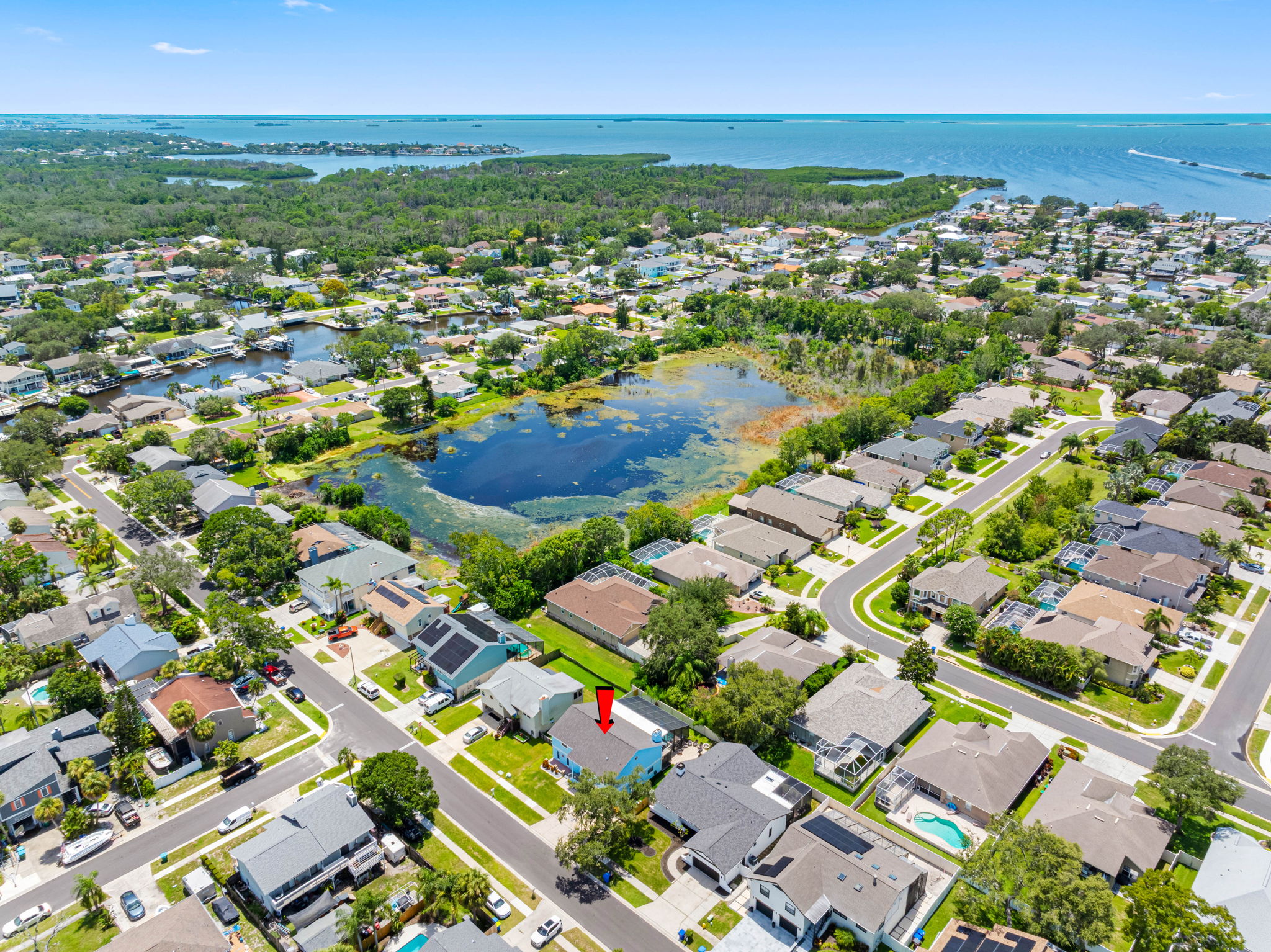 Aerial View of the Neighborhood