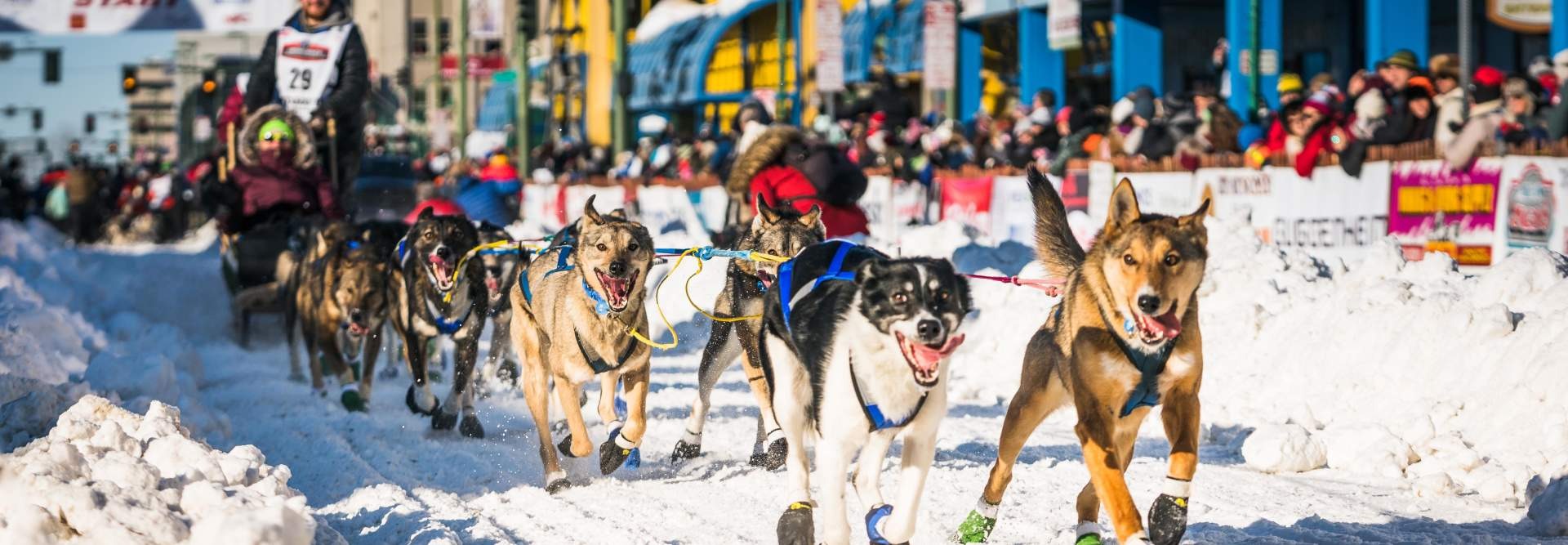 Iditarod