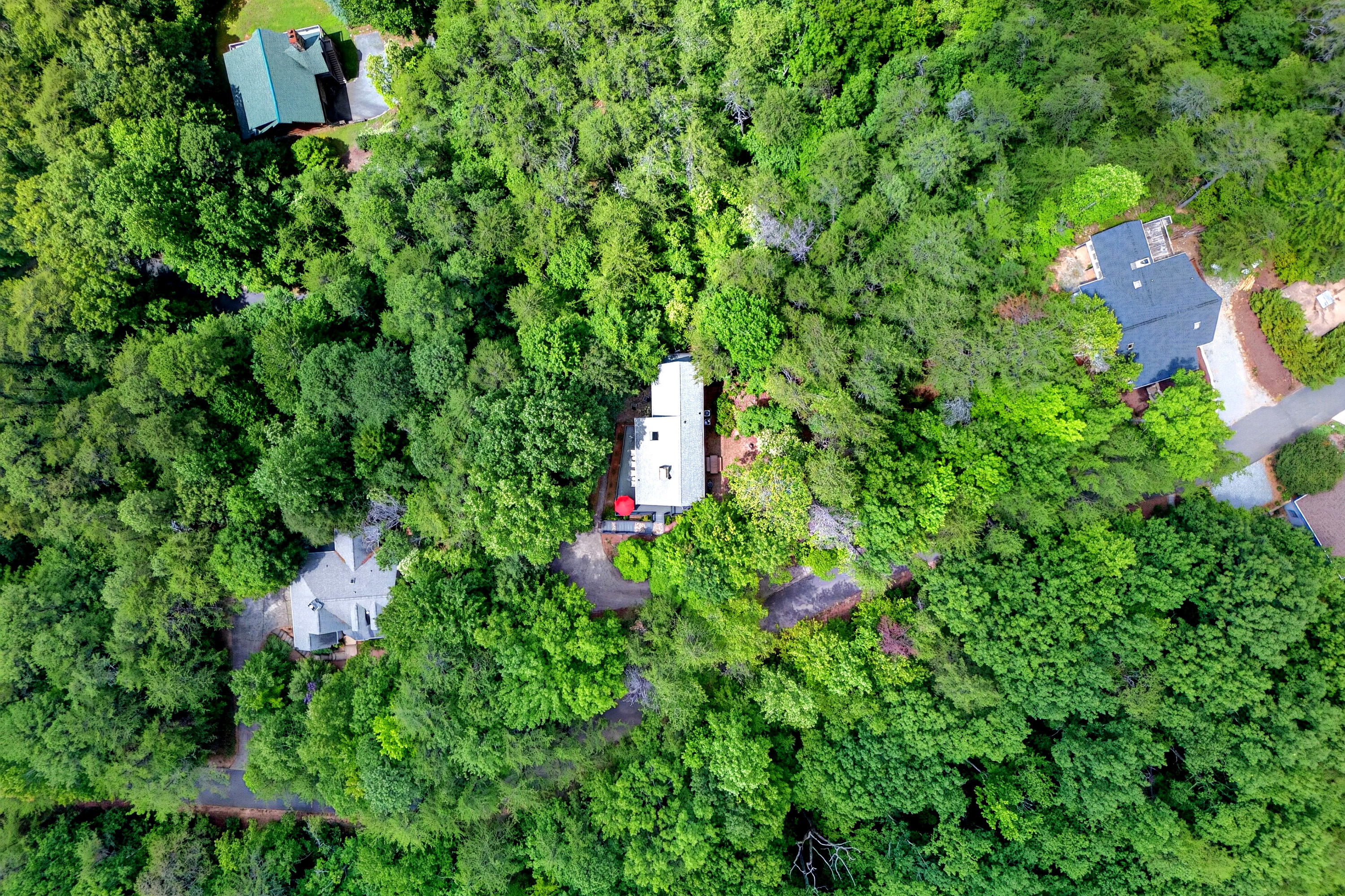Surrounded by nature 