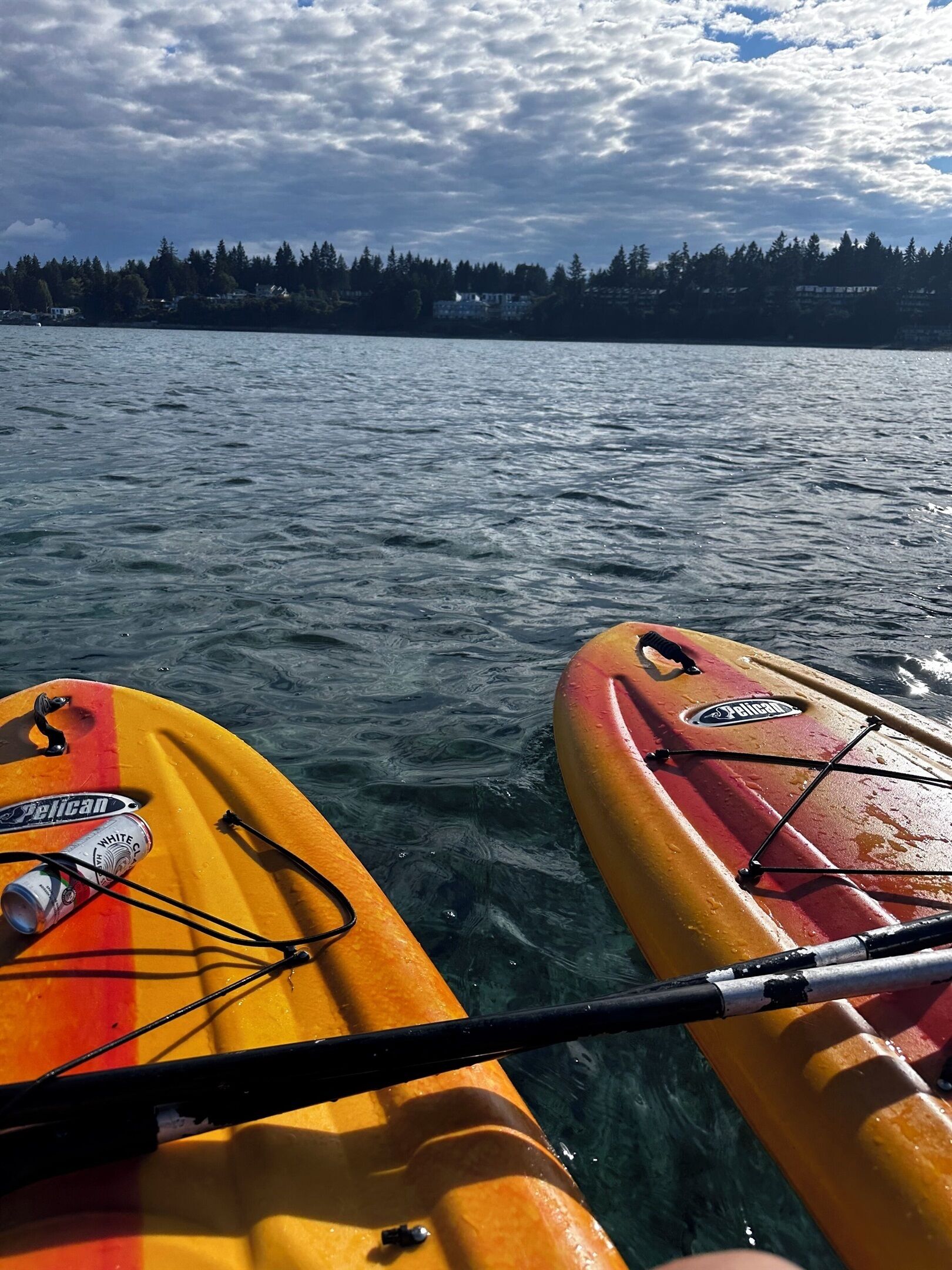 Bring your water toys