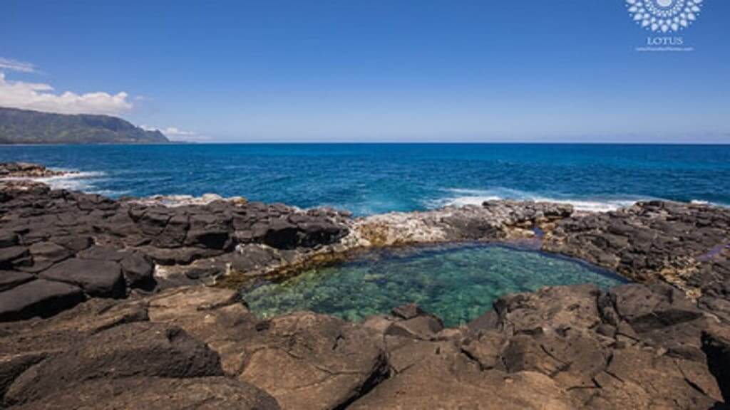 Queens Bath Lookout Pool Jacuzzi BBQ Lotus Property Management