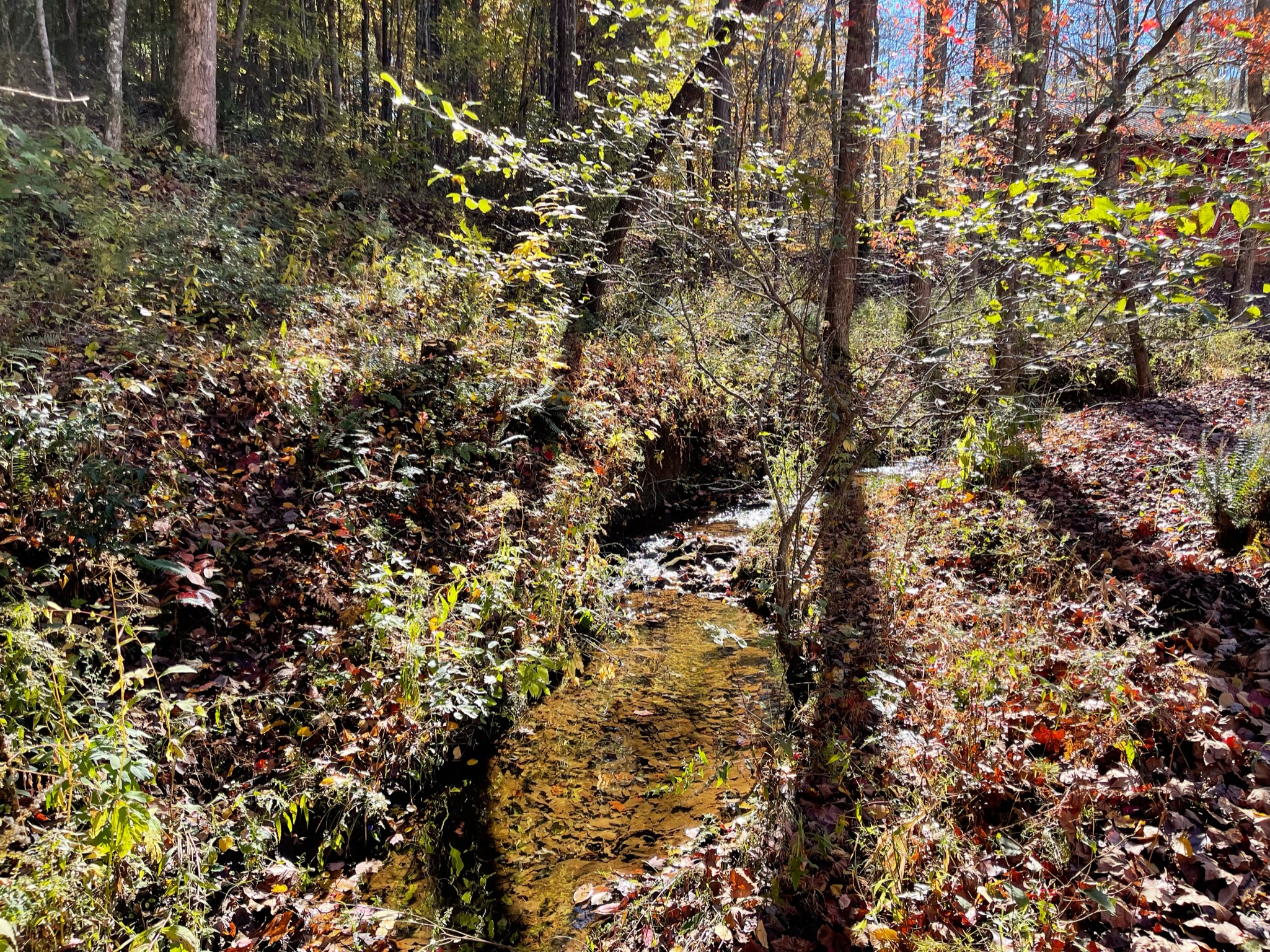 Creek on property