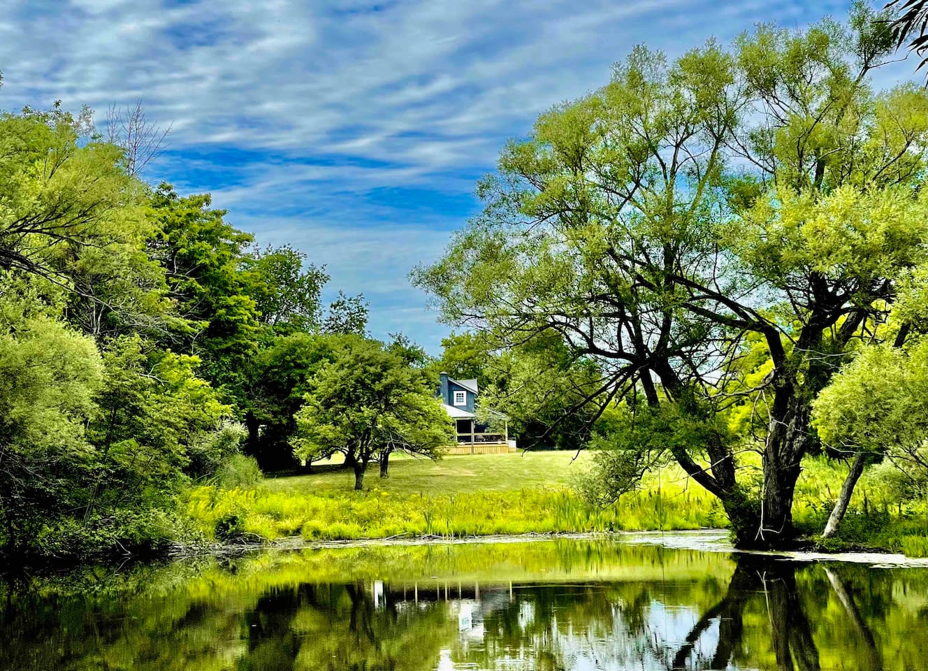 Pond with house in the background.