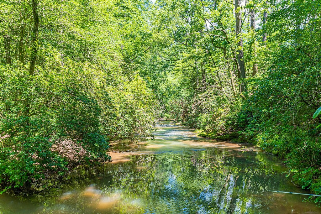 Gardens and Creek Right out Back