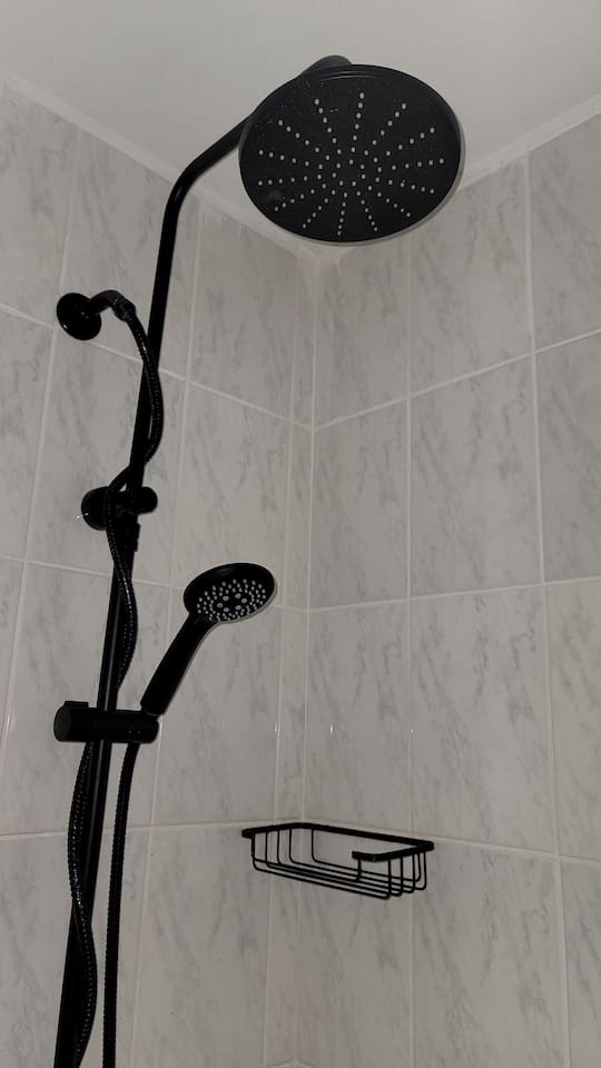 Rain shower and hand held shower head