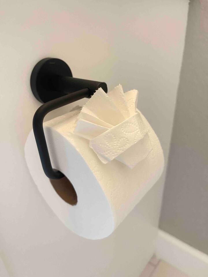 We even supply the toilet paper  