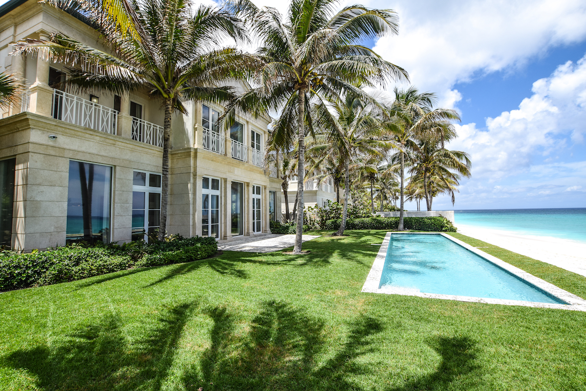 Palm tree dreaming, beach breezing