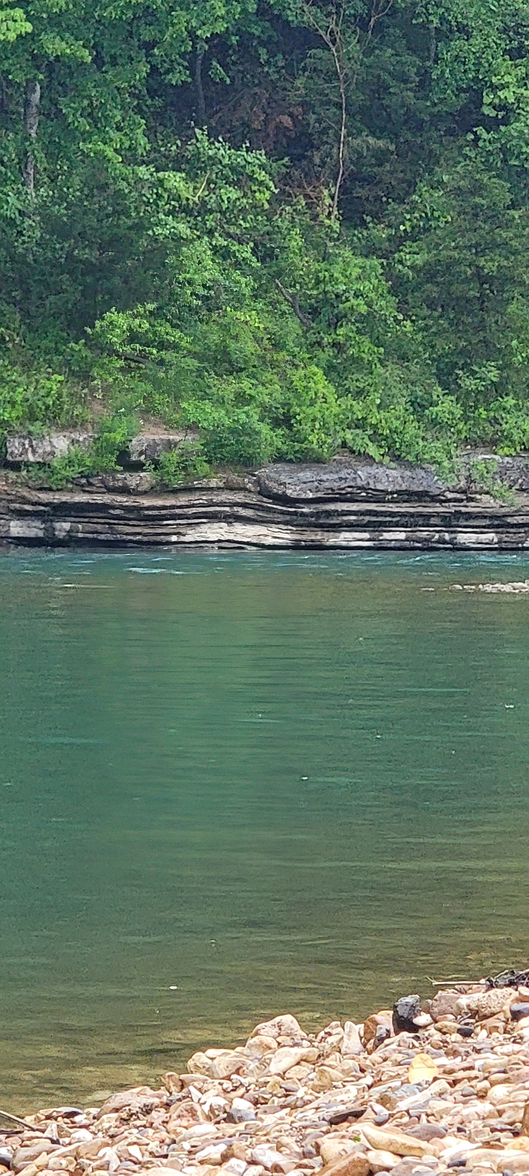 Buffalo River 44 Miles From Nature's Loft
