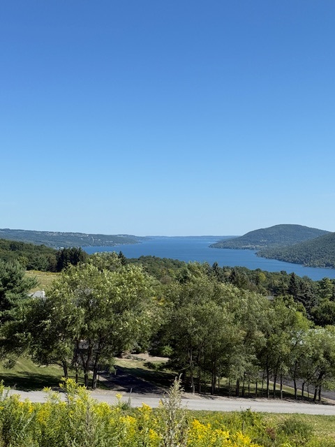 View from a local spot overlooking Canandaigua Lkae
