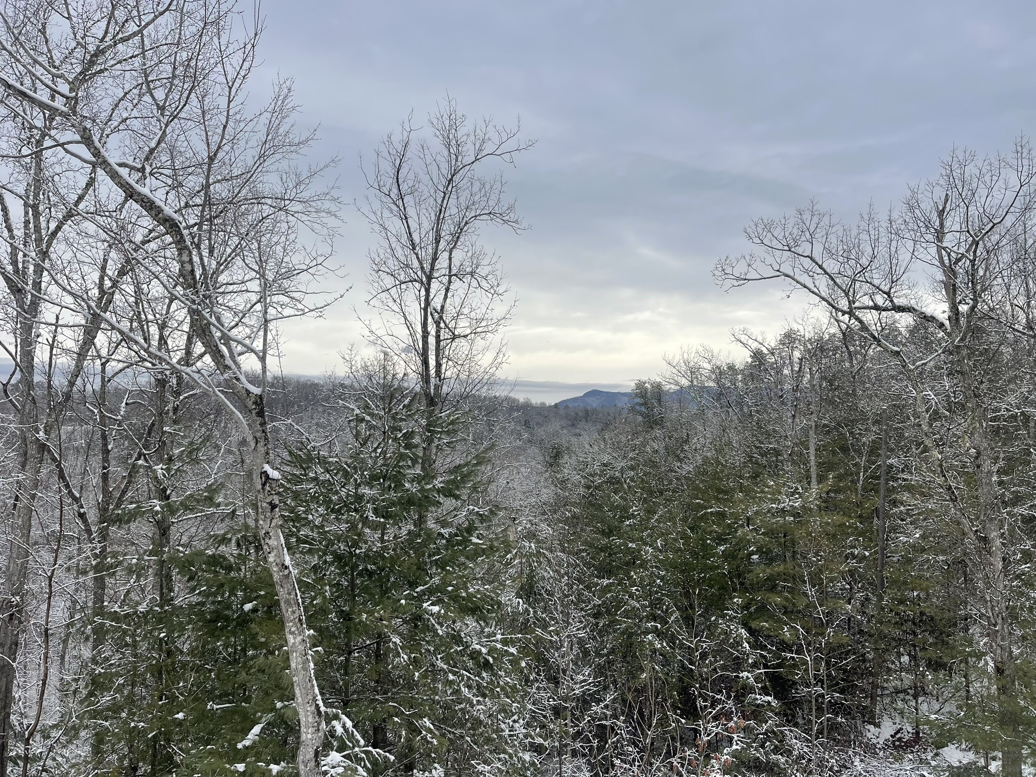 There is something magical about snow capped trees and mountains!