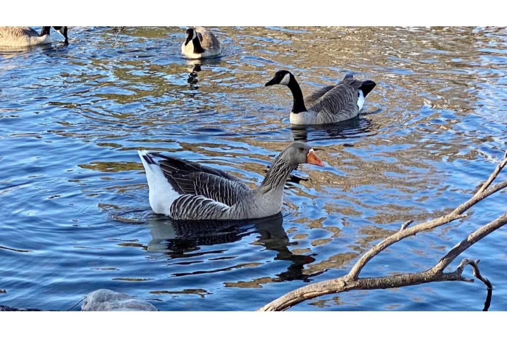 grants pass vacation home