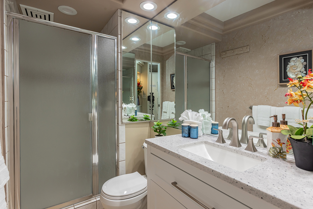 Guest Bathroom with Walk-In Shower