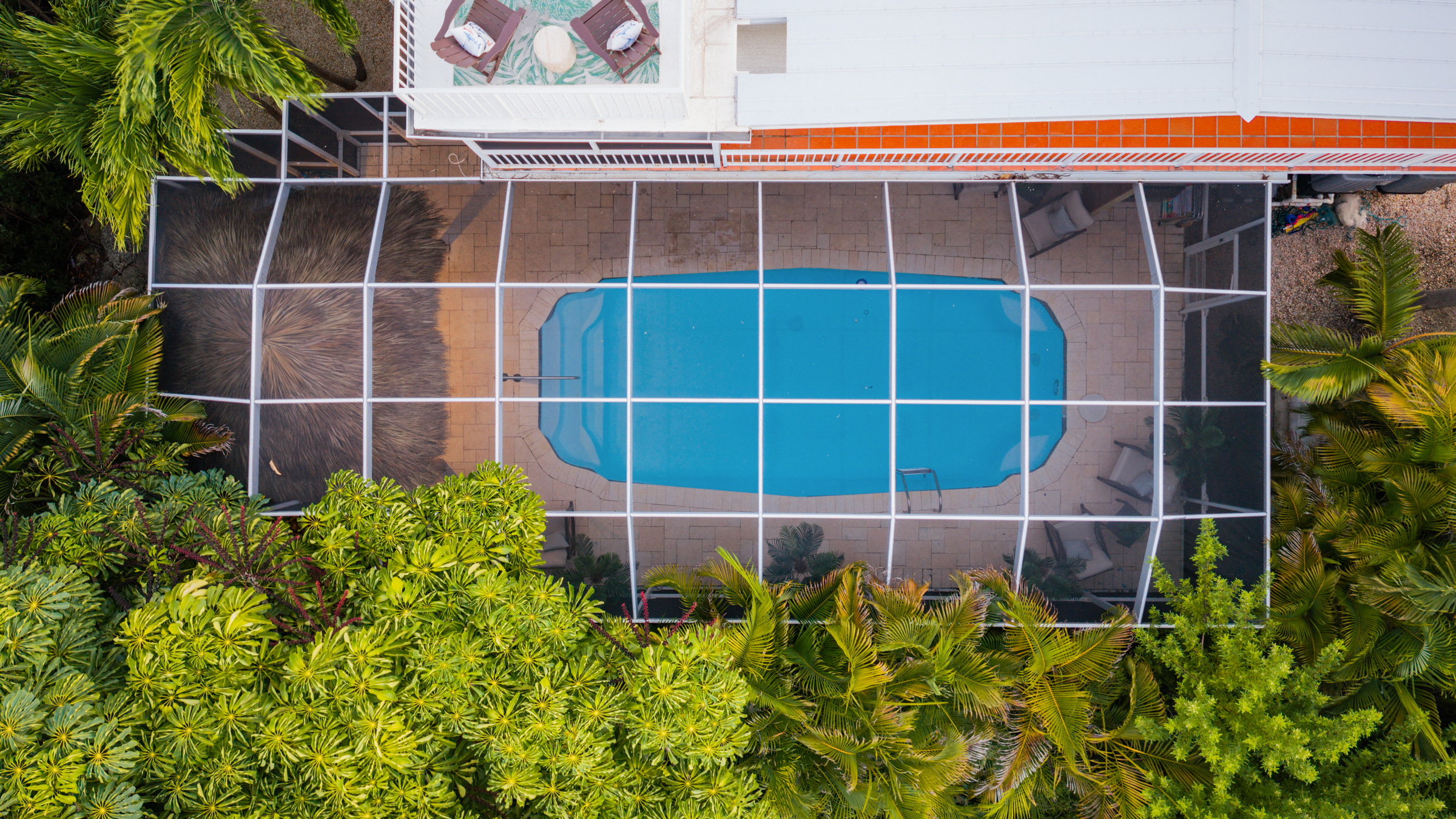 A huge heated (and chilled) pool with plenty of space to play in.