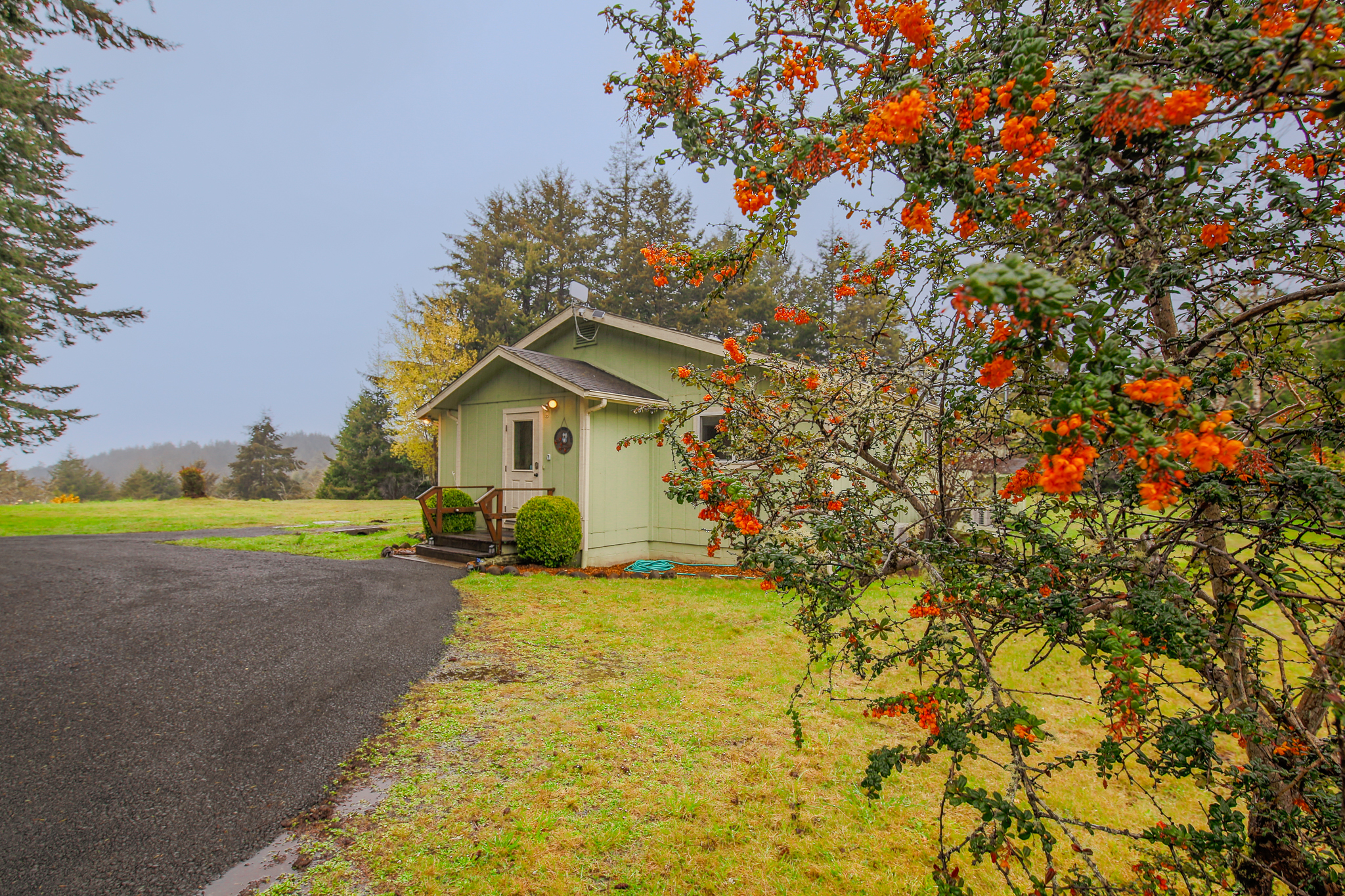 Driveway approaching House