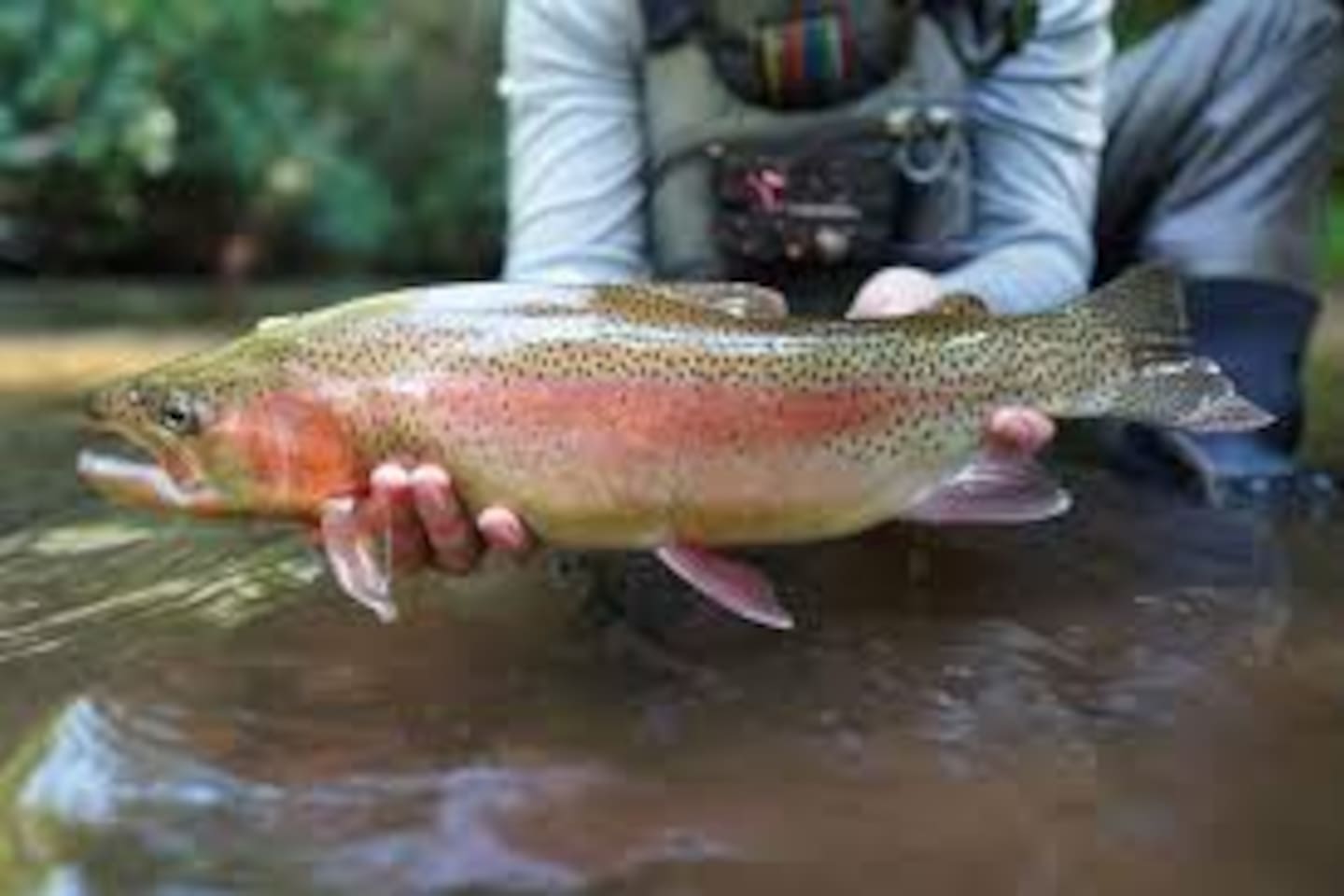 Fishing/Fly fishing? If so, you have found the perfect destination.

