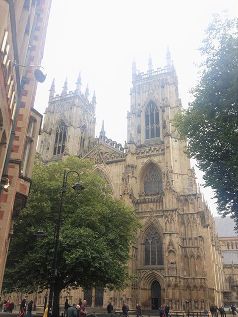 Autumn leaves around York Minster