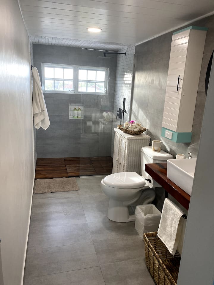 Here we have the bathroom in the Coral Suite. Hard to tell from the picture, but we have a built in Alpha bidet on the toliet(don't knock it till you try it;) Rainshower head an auxillary shower head. We provide robes for after shower relaxing.