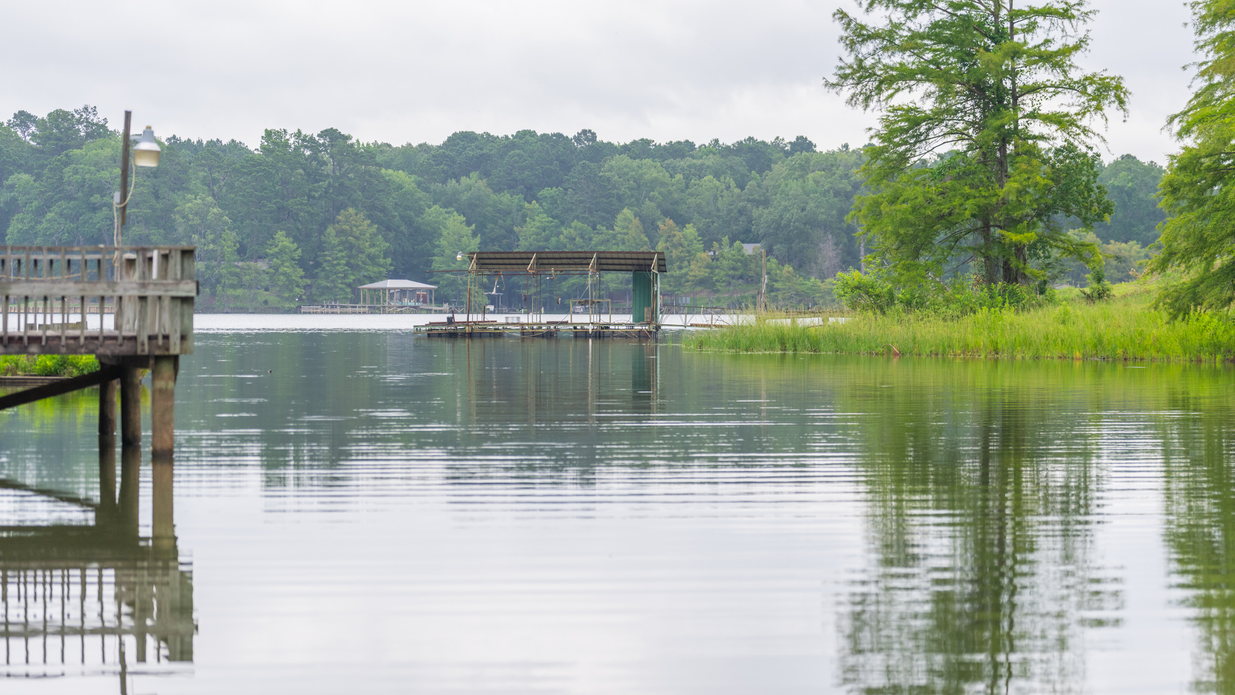 Cove opens to main lake