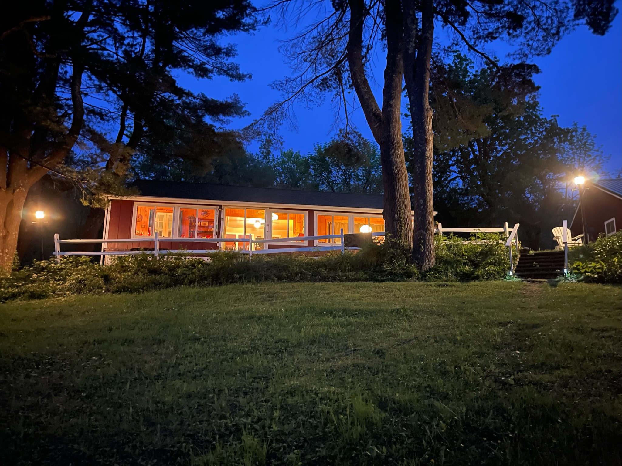Twin pines at night