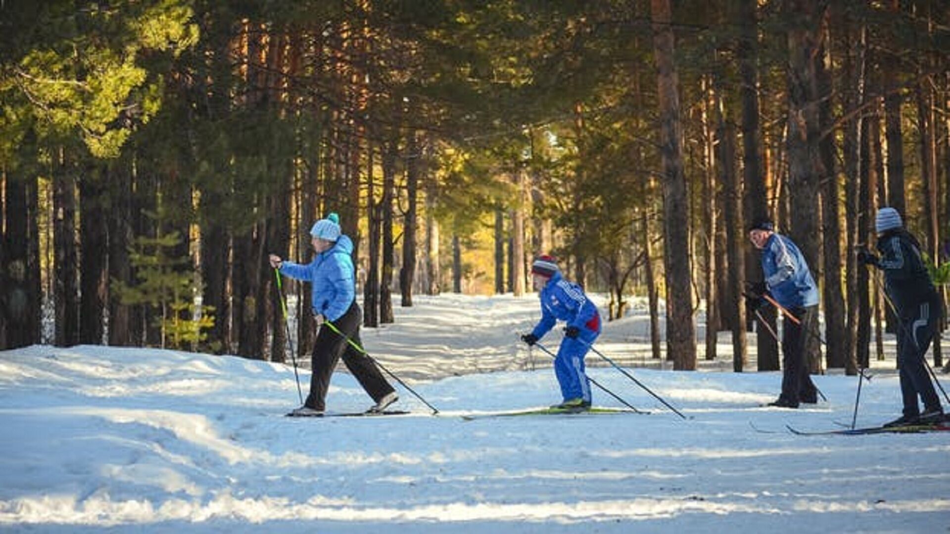 Scenic cross country skiing at Warren Dunes!