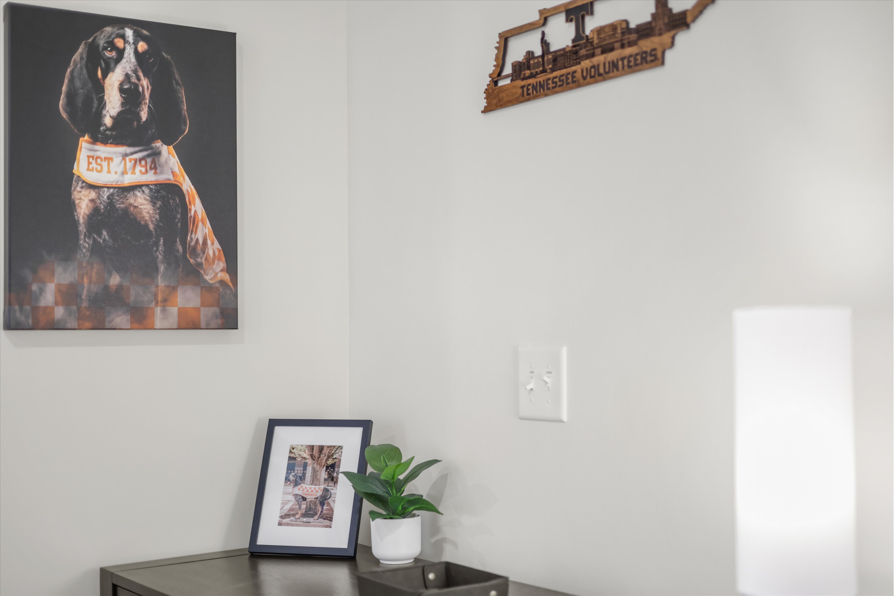 Smokey decor throughout the home!