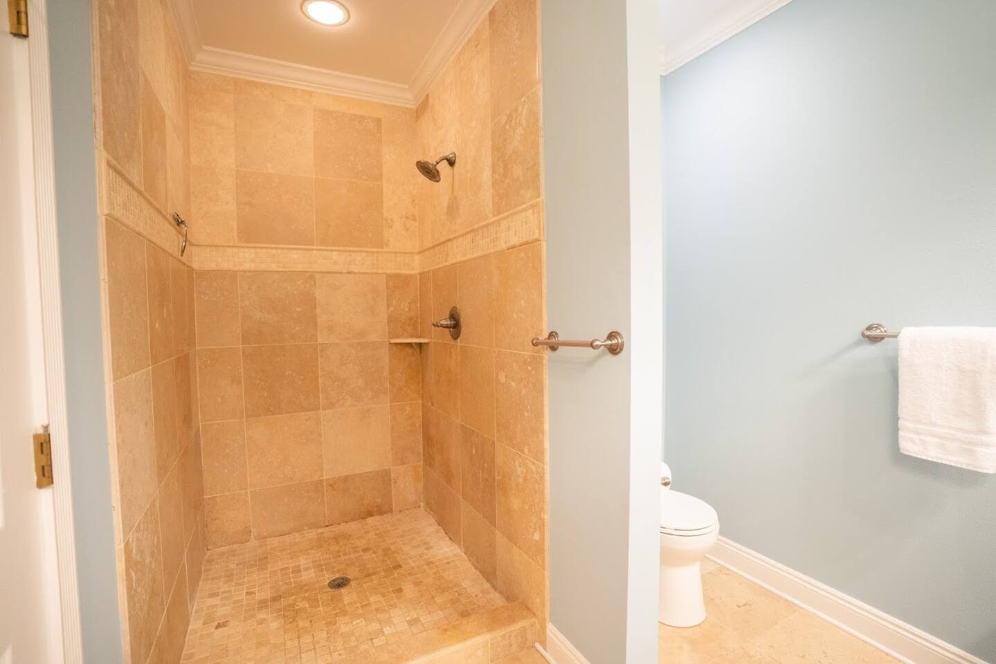 Master bathroom shower and toilet area.