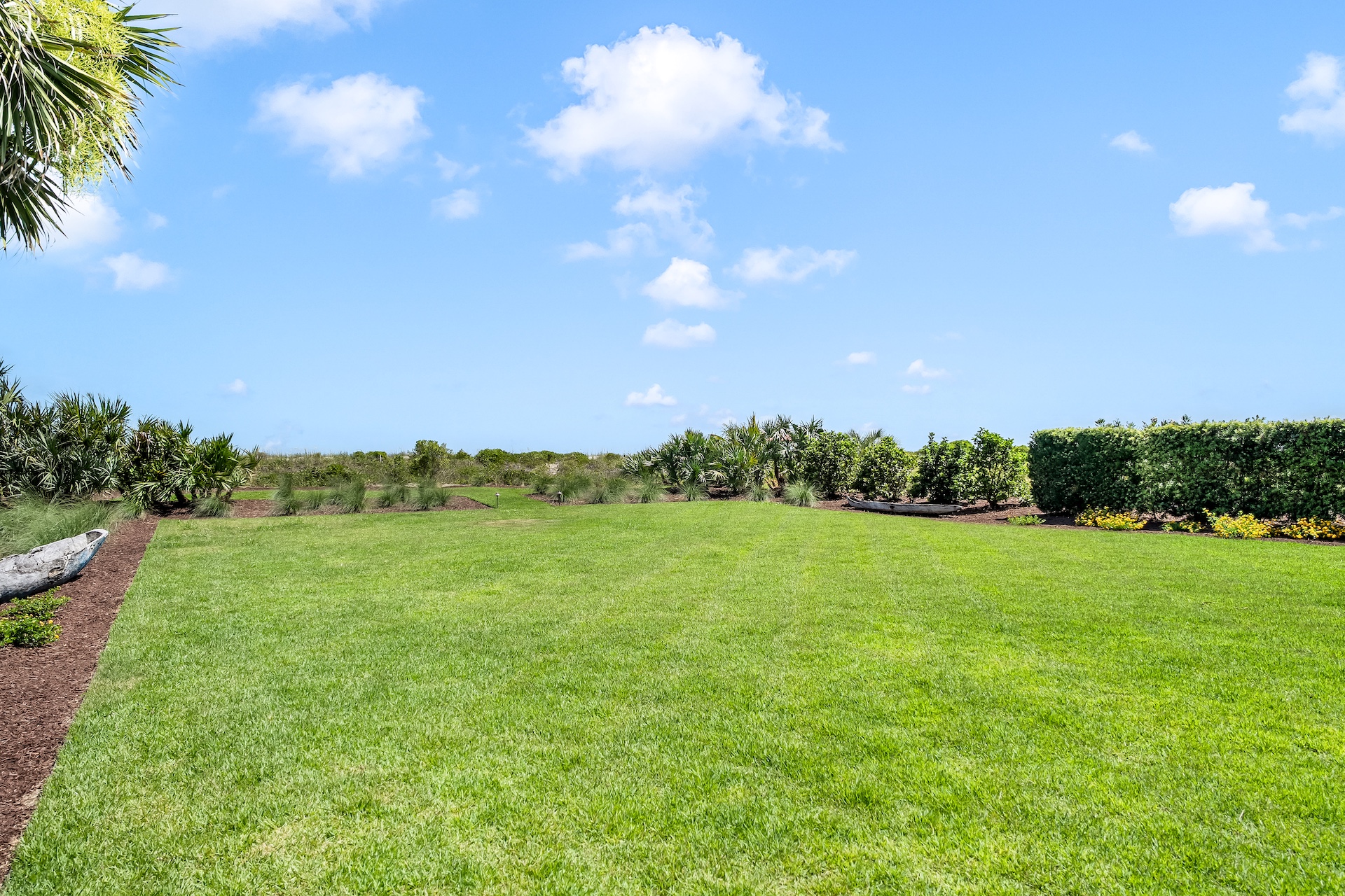 Backyard lawn | Beach Shelter | 3708 Palm Blvd | Isle of Palms, SC | IOP Escapes