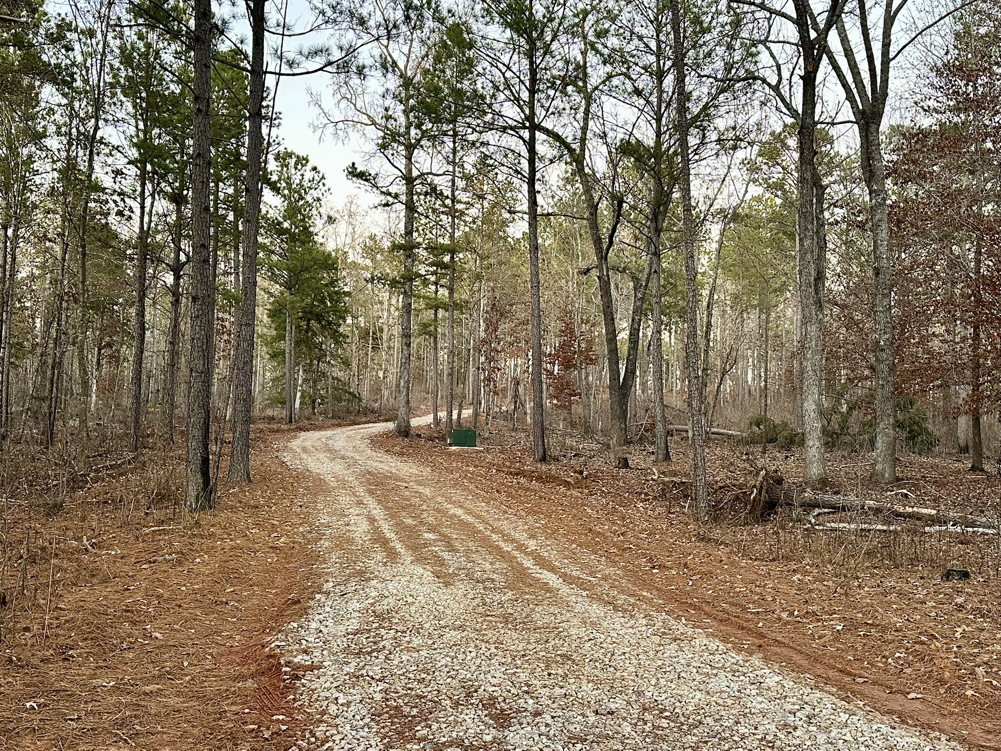 Driveway on 20 Acres