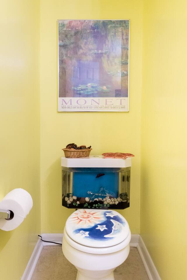 The fish tank toilet is just one of the unique touches in this bright, colorful home.