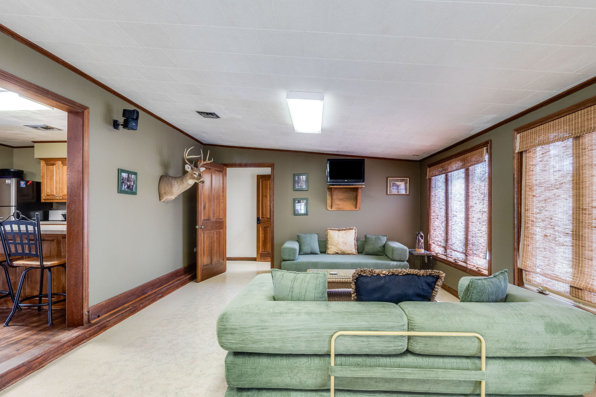 Living Room Sleeping Area