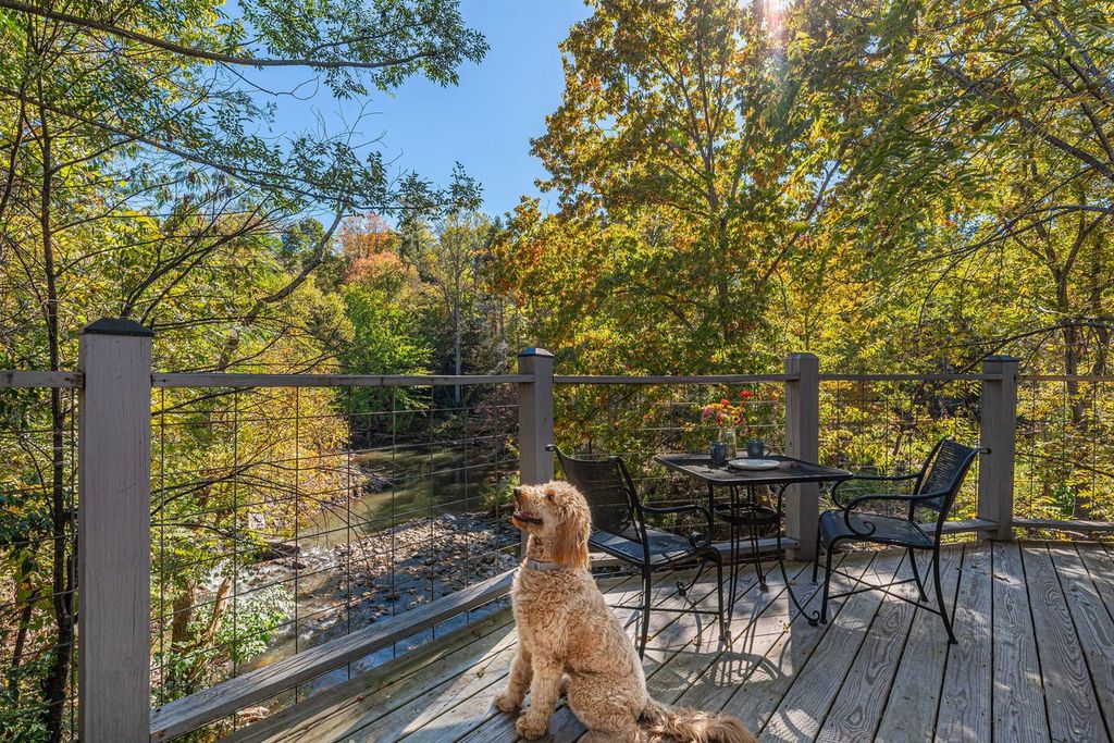 Maple the goldendoodle gives the Blue Heron 4 paws for an excellent pet friendly cottage getaway.