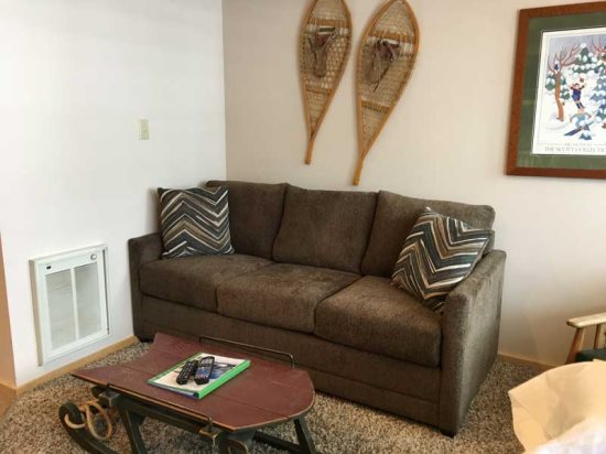 Sleeper sofa: Couch.