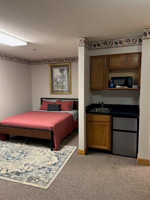 Bedroom and Kitchenette