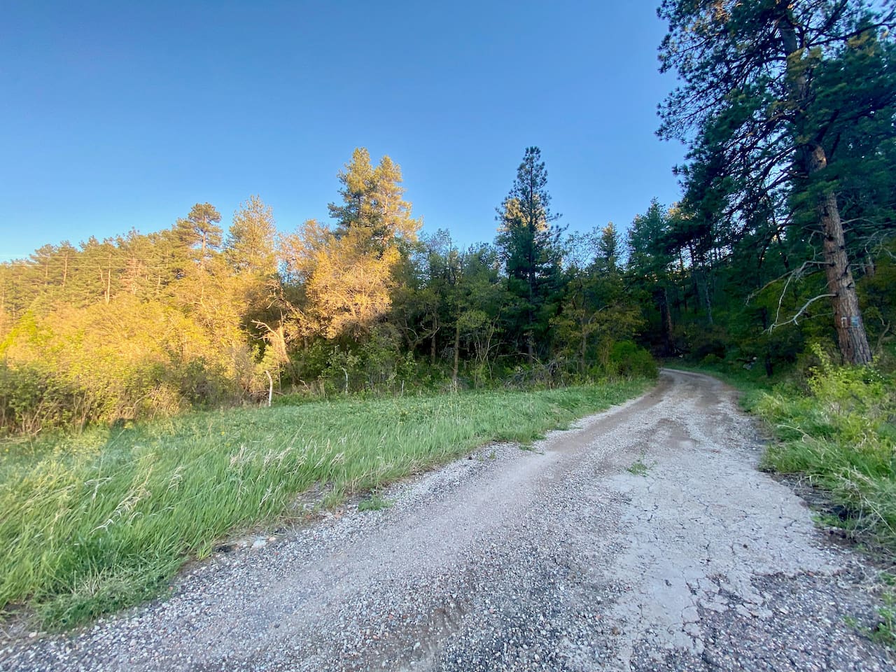 This is the driveway to get to the house.  