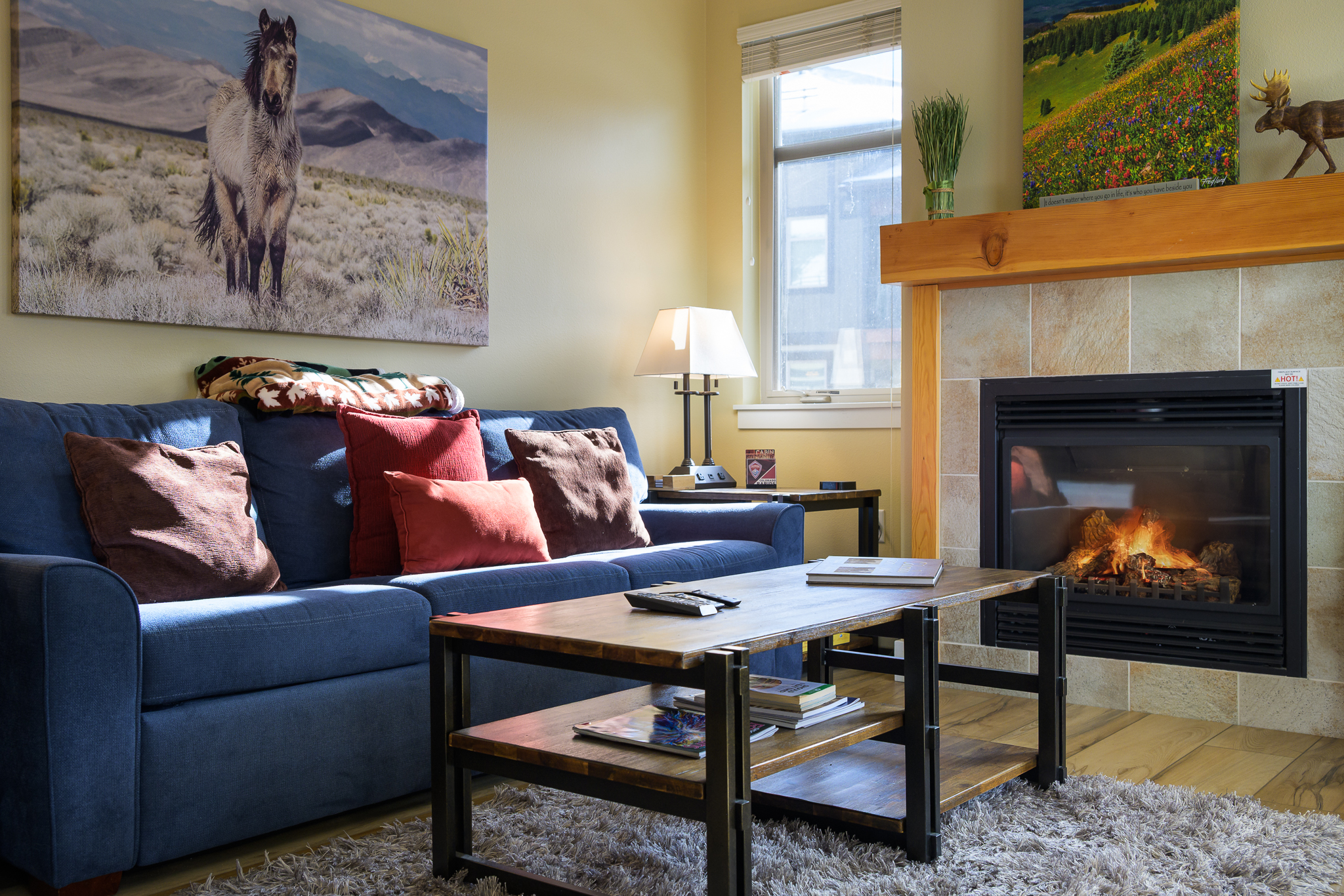 Living room has high end sleeper sofa (king) with platform style mattress. Gas fireplace too!