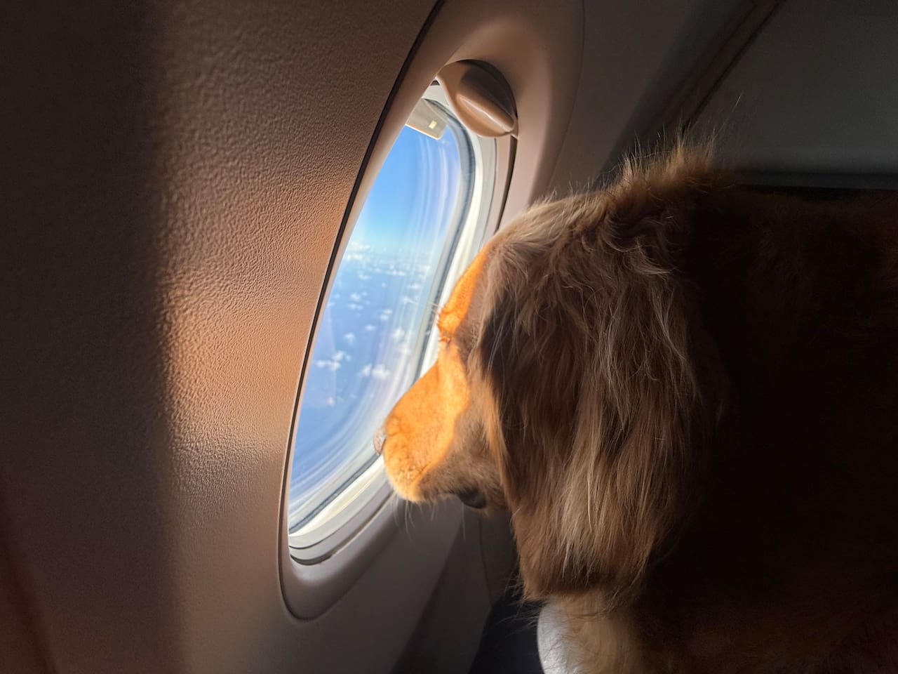 Take me back to Aruba!!!