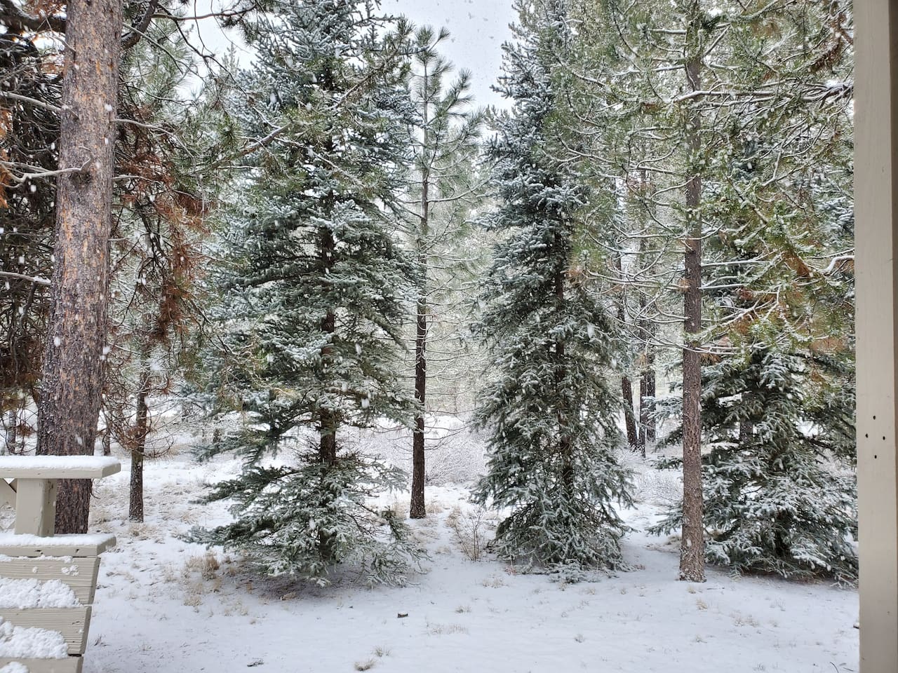 Winter or summer, the backyard is a lovely place to relax and enjoy the peace!