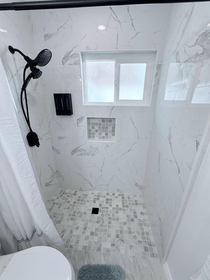 Removable Dual Shower Head