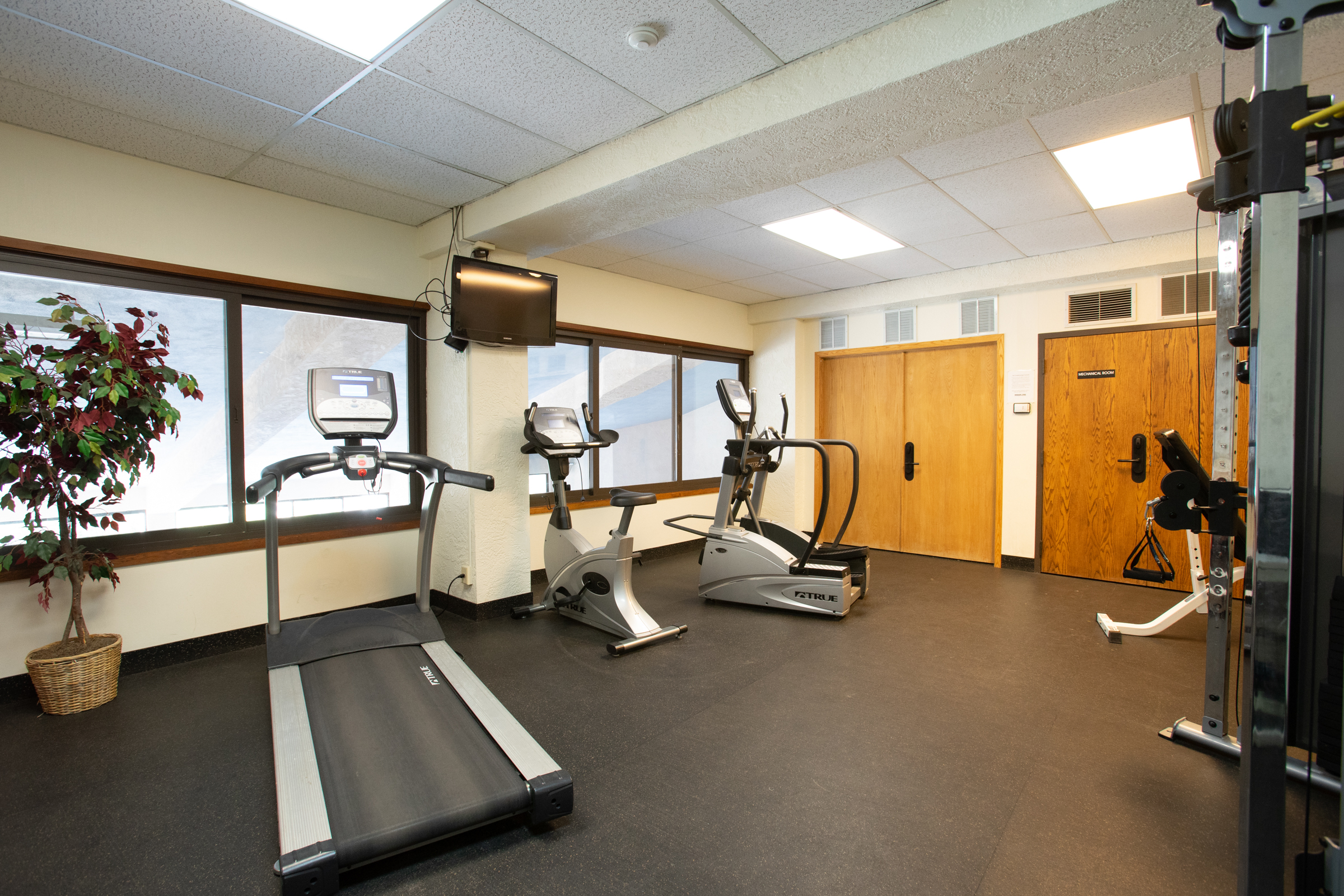 Shared Gym
