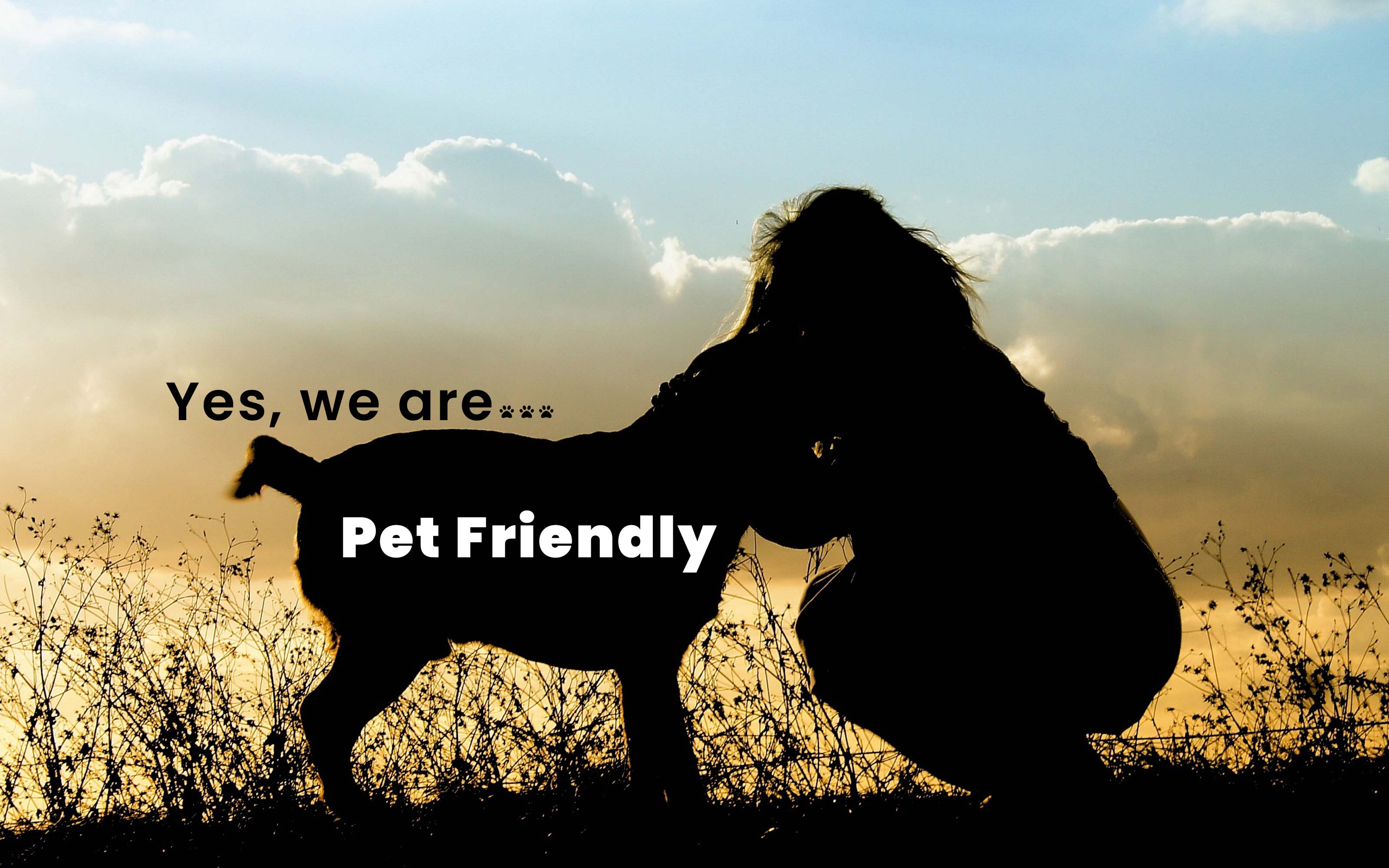 We are in deed Pet friendly!