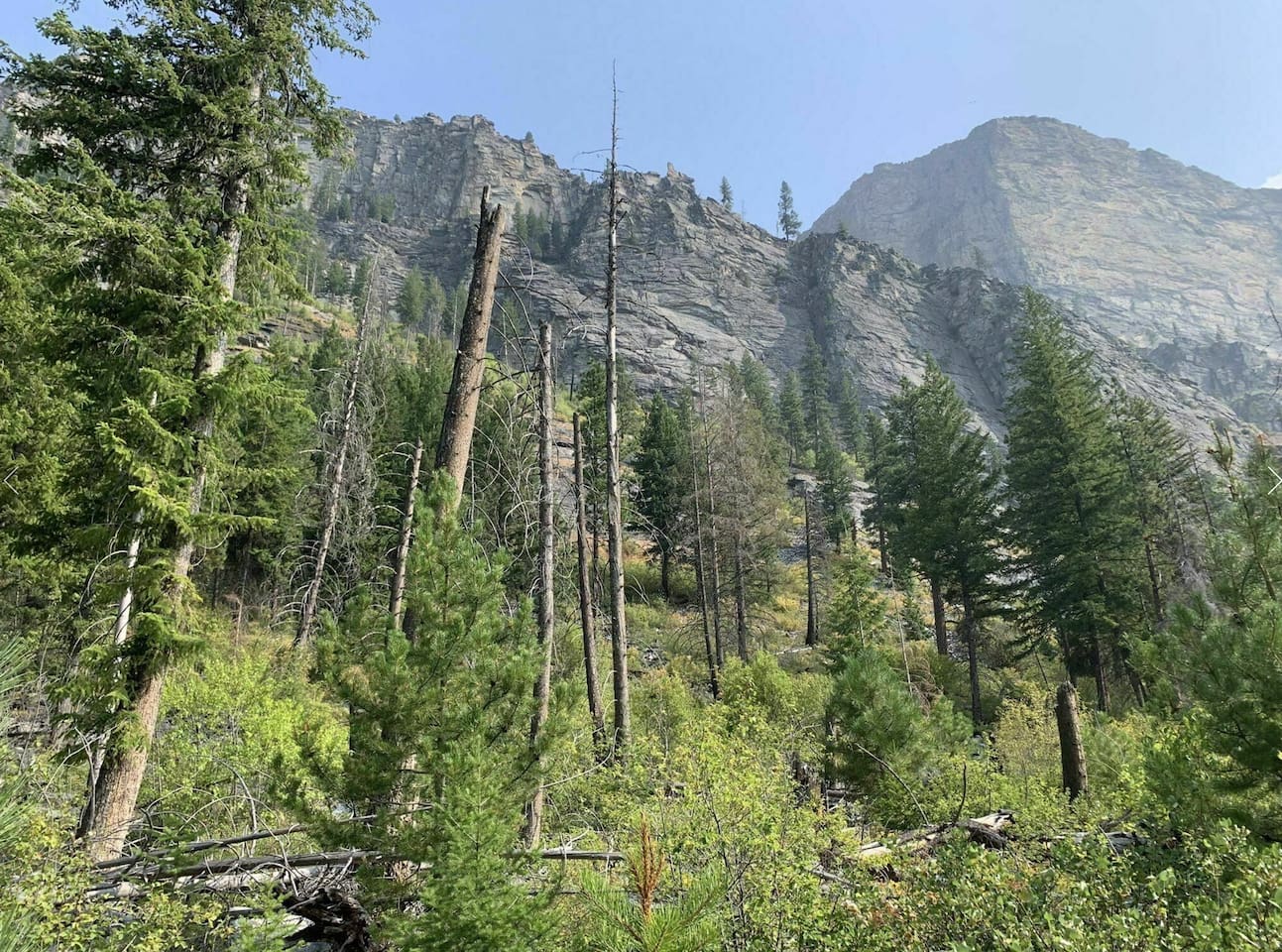 Short hike up Mill Creek just west of house.