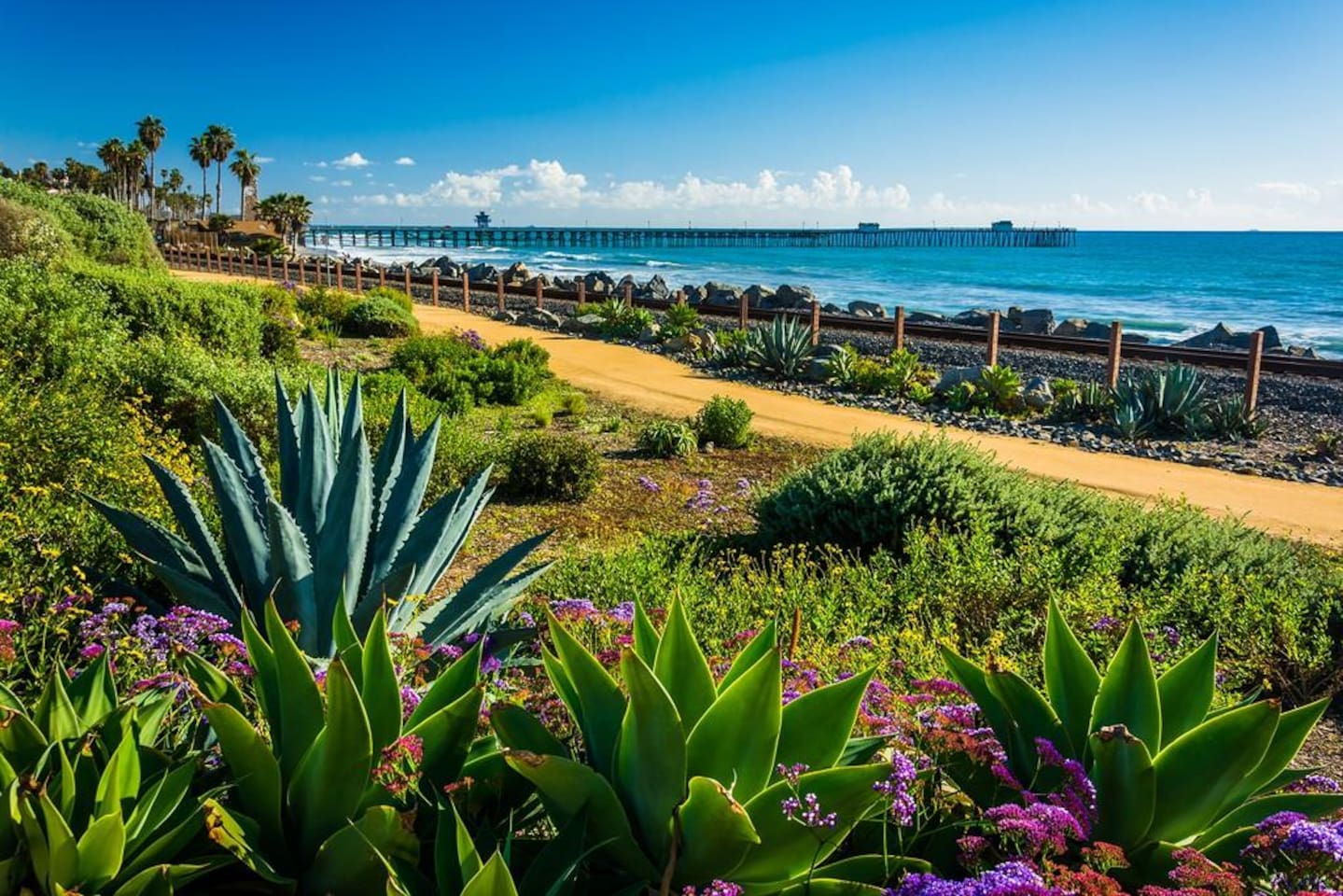 Fantastic beach walking trail too