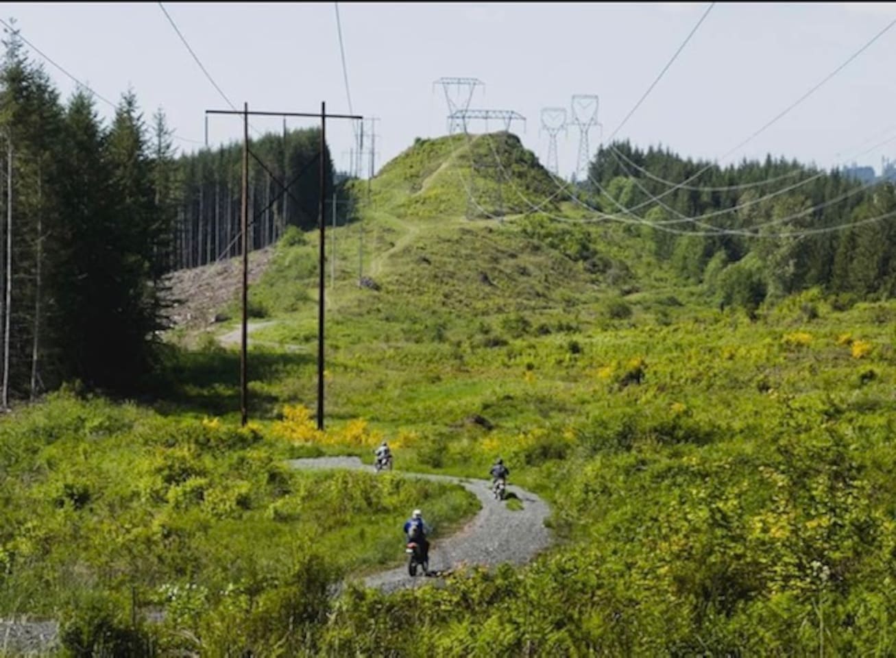 Walker Valley ORV Park trails are ready for motorbike exploration.