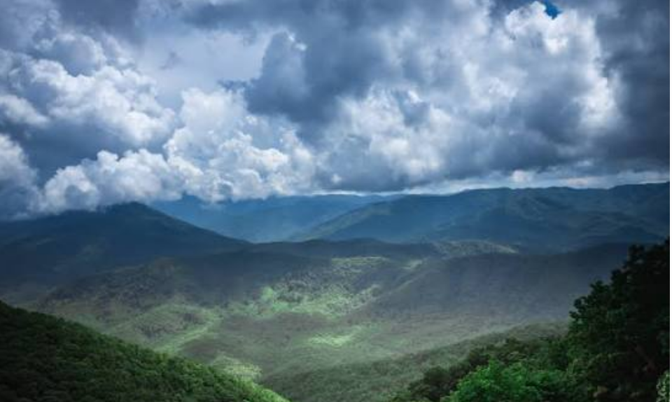 smokies rainy day