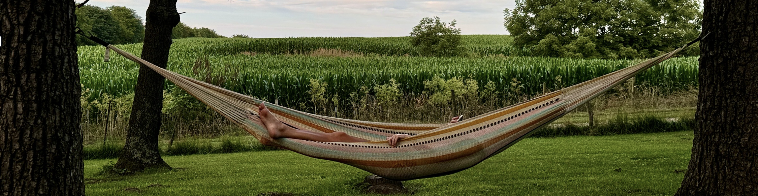 Rejuvenate from the outside in, on Hidden Groves comfy hammock