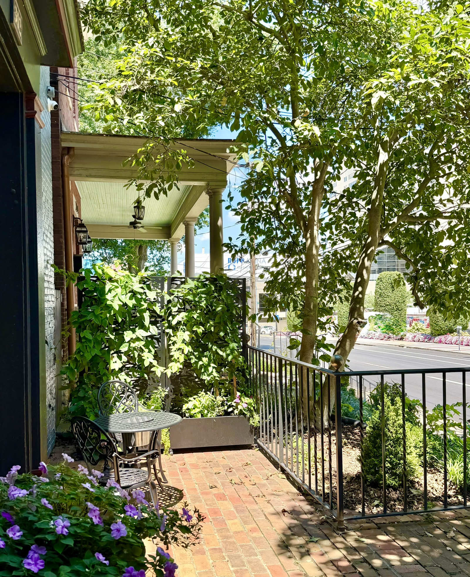 Our front patio is an urban oasis. Can you see the Rupp Arena sign?