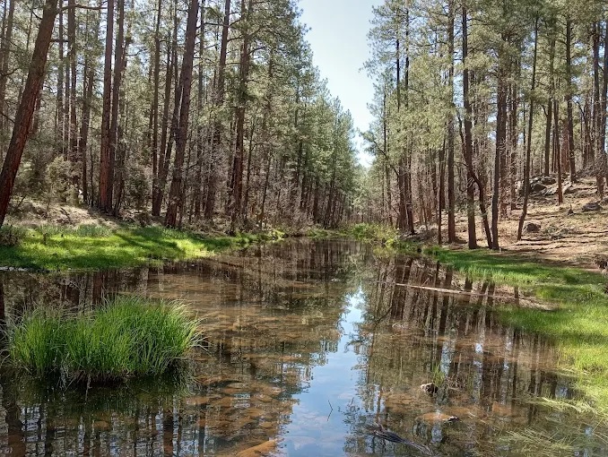 Billy Creek Trailhead