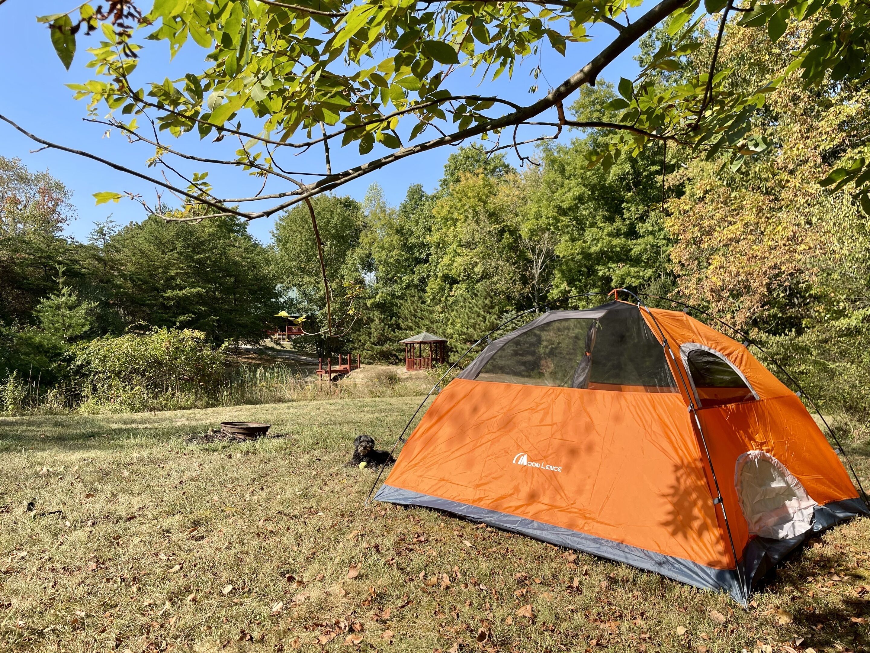 🏕️Give the kids the best of both worlds- a Log Cabin AND Tent Camp experience!