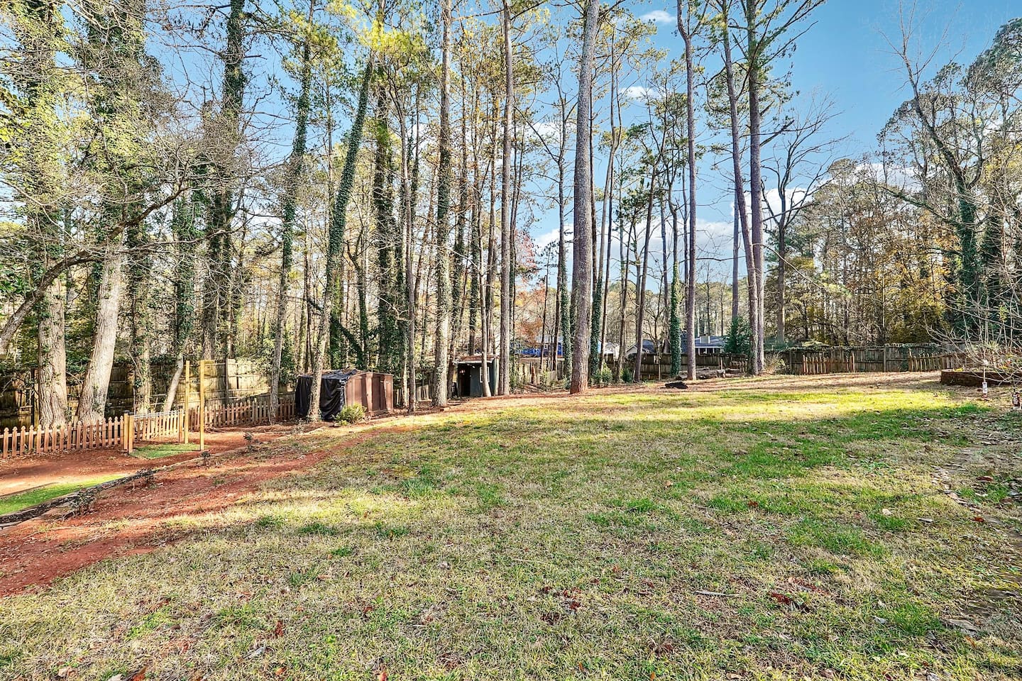 Backyard